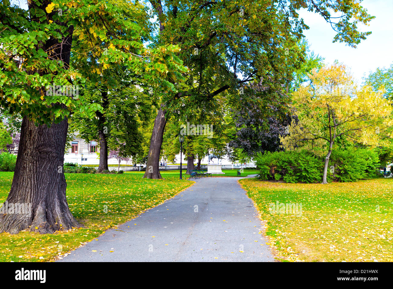 Landscape oak alley autumn hi-res stock photography and images - Alamy