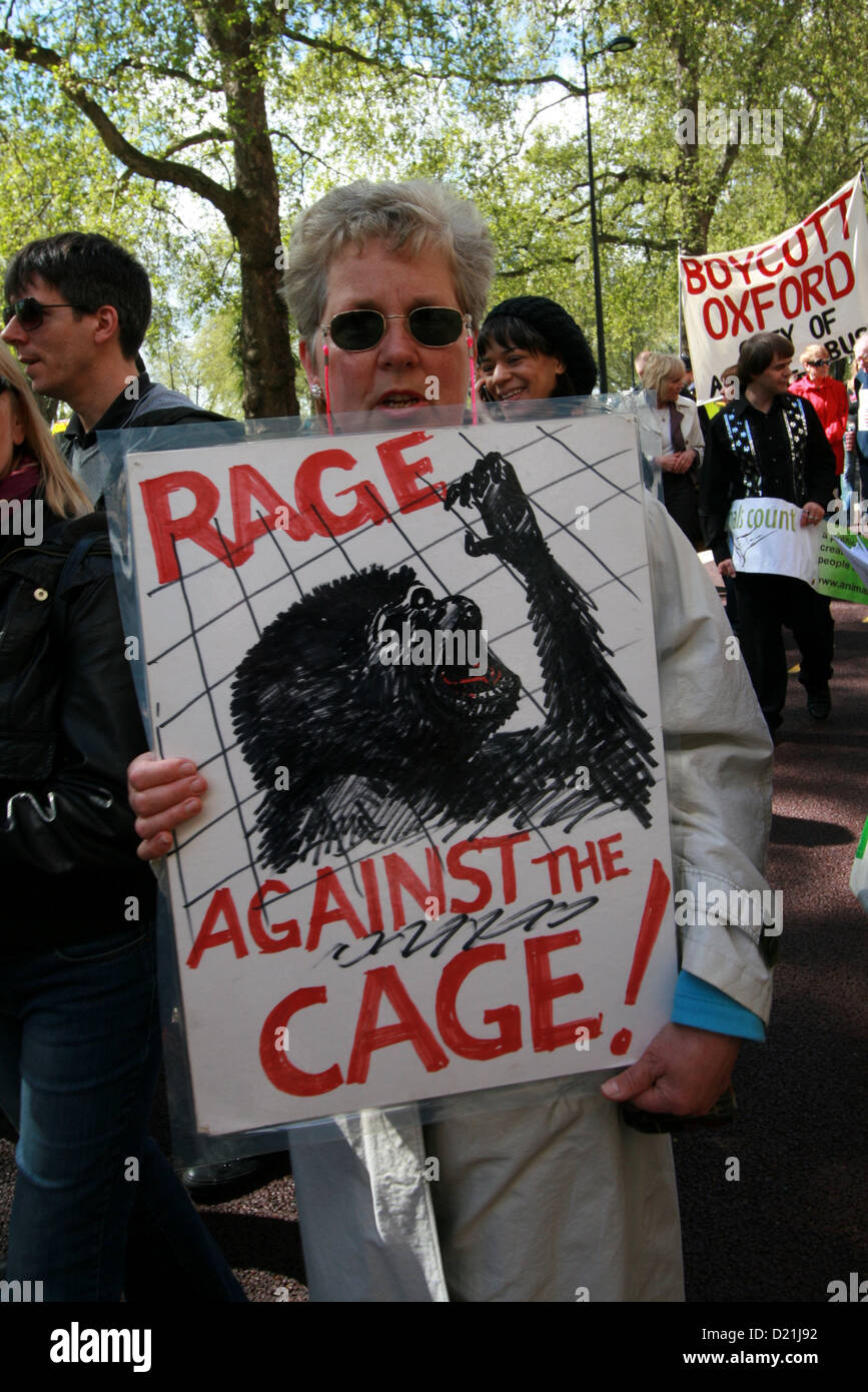 An animal rights campaigner at the demonstration against using animals in laboratories for experiments Stock Photo