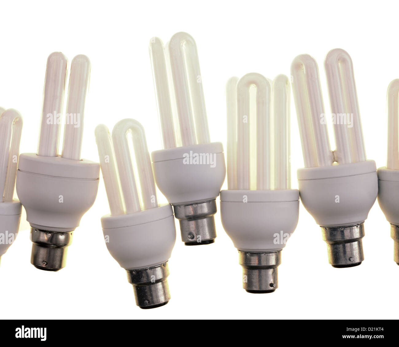 A line of energy efficient light bulbs in a line on a white background. Stock Photo