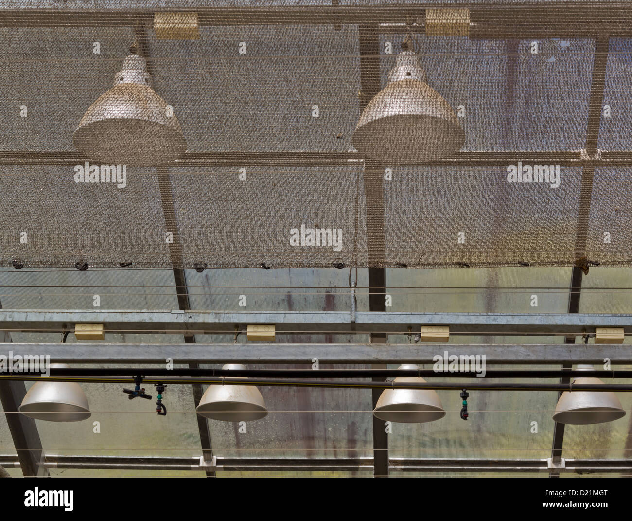 Lamps And Sprinkler On The Ceiling In Cultivating Conservatory