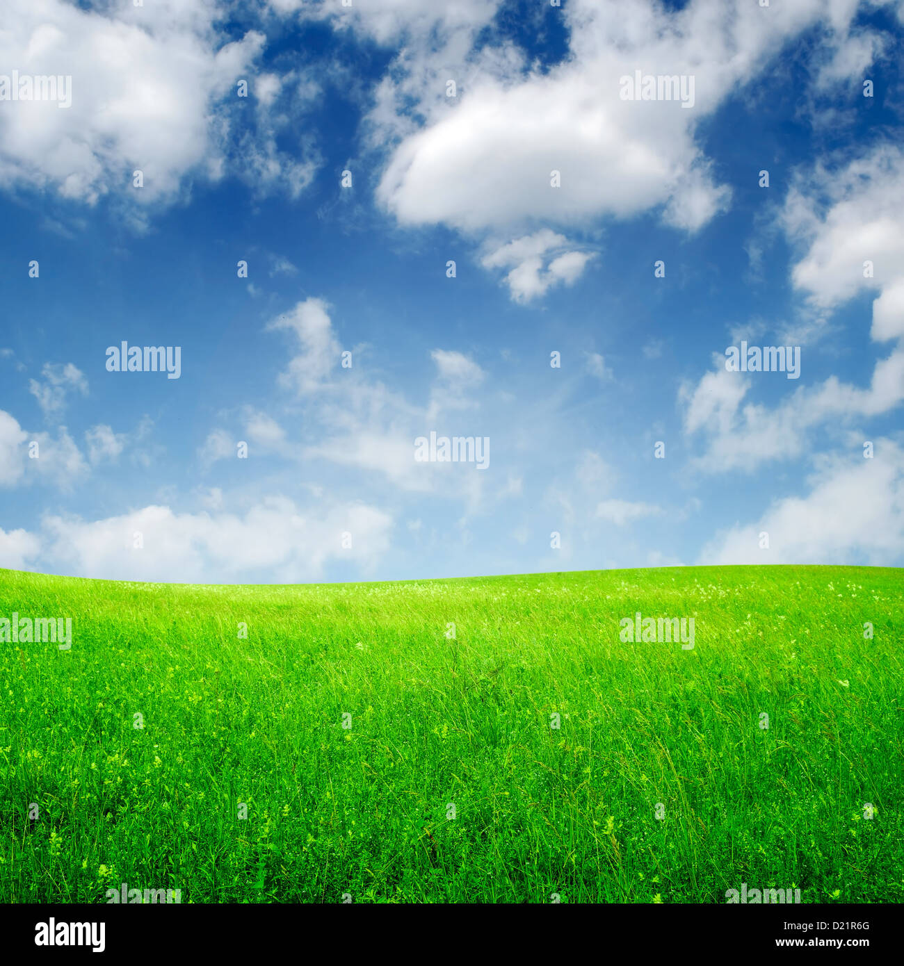 green field and blue sky with clouds Stock Photo - Alamy