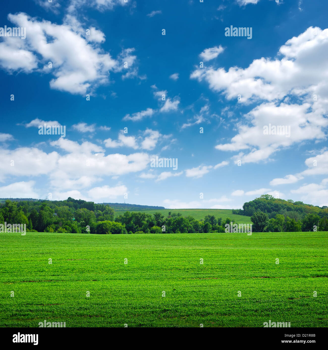 green field with trees and blue sky Stock Photo - Alamy