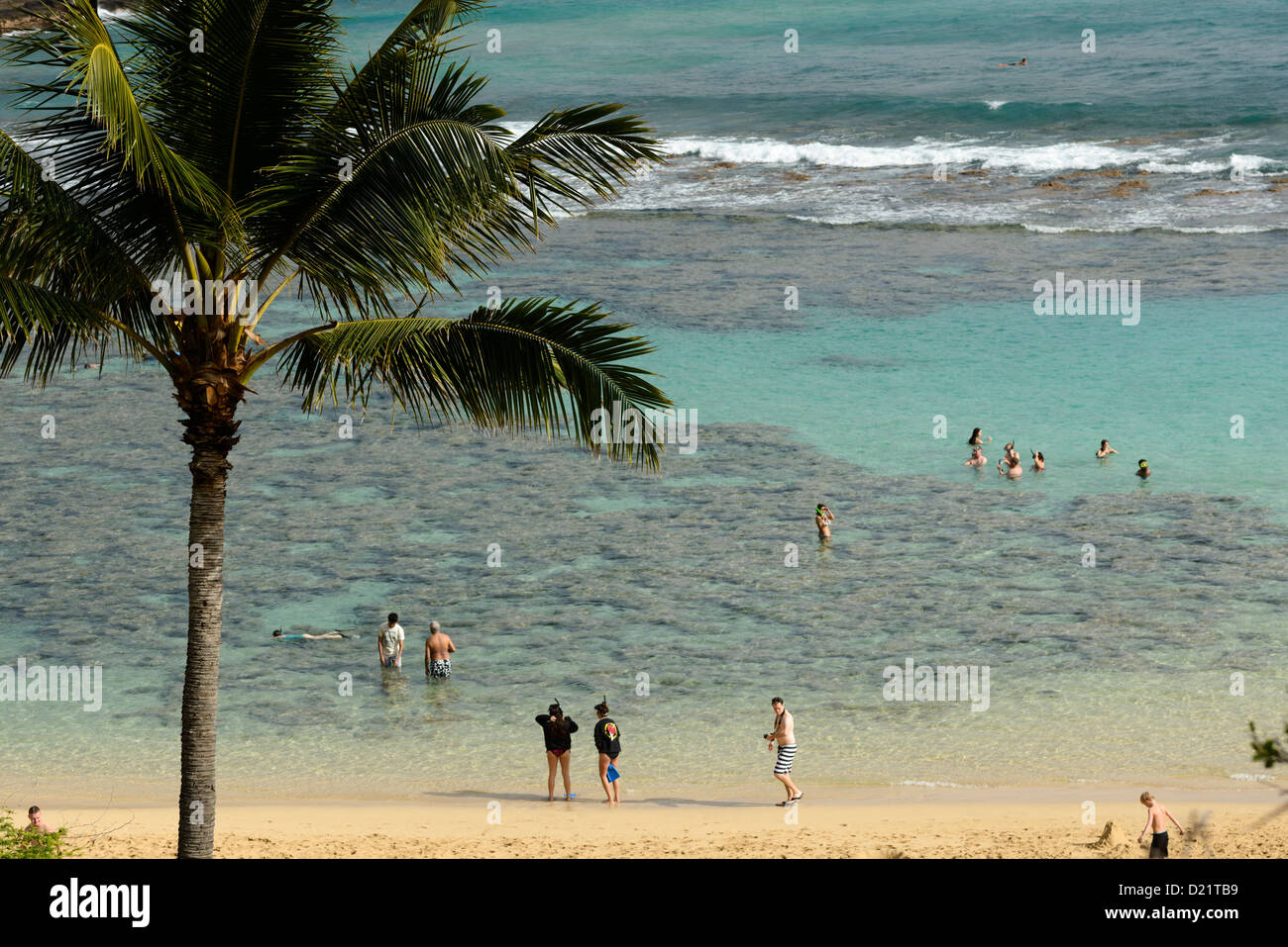 People snorkeling at Hanauma Bay, Oahu, Hawaii, USA Stock Photo Alamy