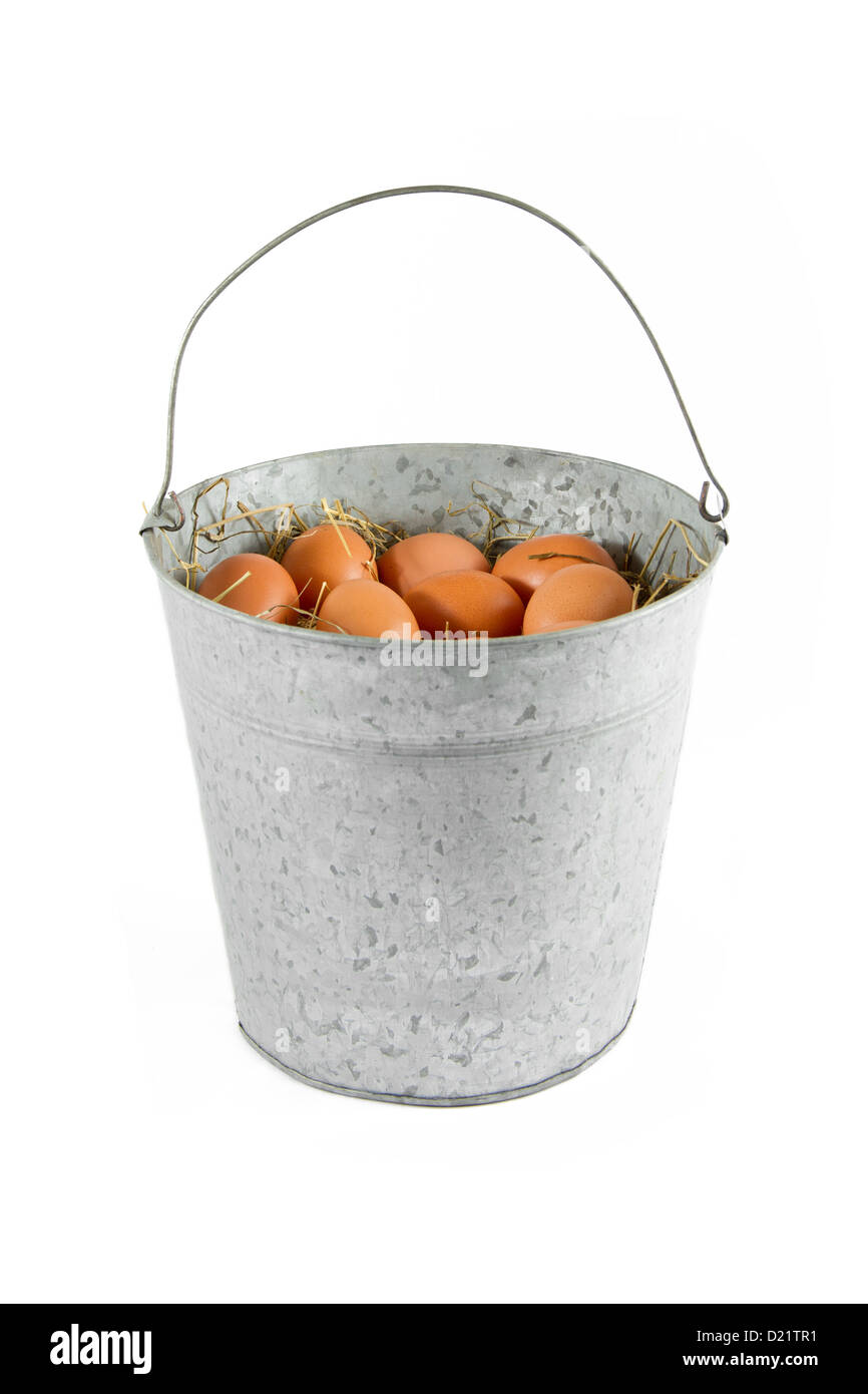 Metal bucket of eggs Stock Photo