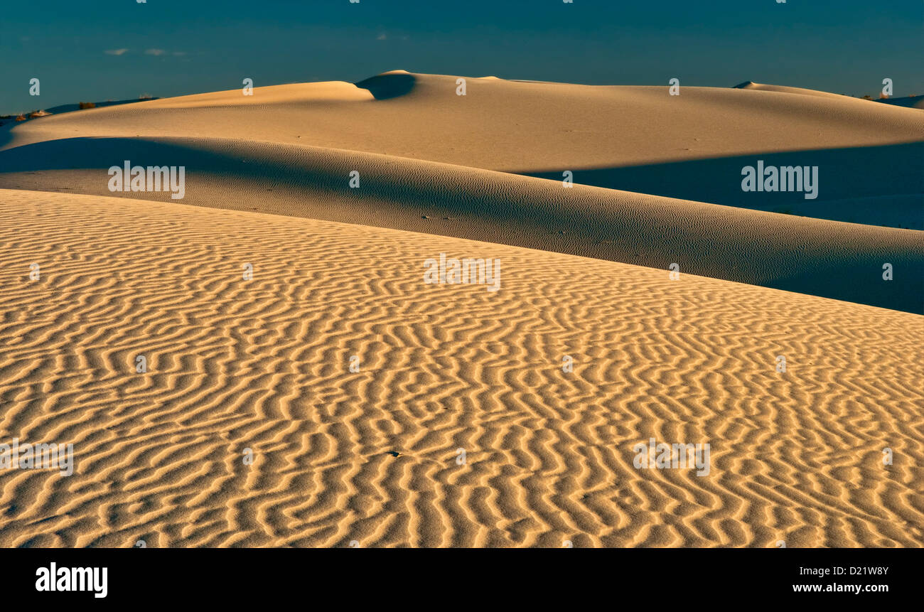 Dunes at sunrise, Monahans Sandhills State Park, Chihuahuan Desert, Texas, USA Stock Photo