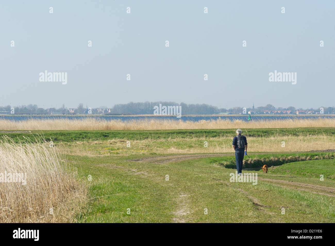 Elder man is hiking with dog in nature near big lake Stock Photo