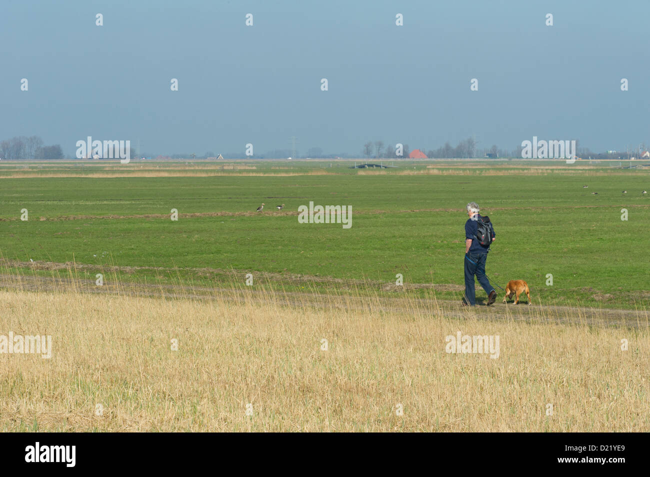 Elder man is hiking with dog in nature near big lake Stock Photo