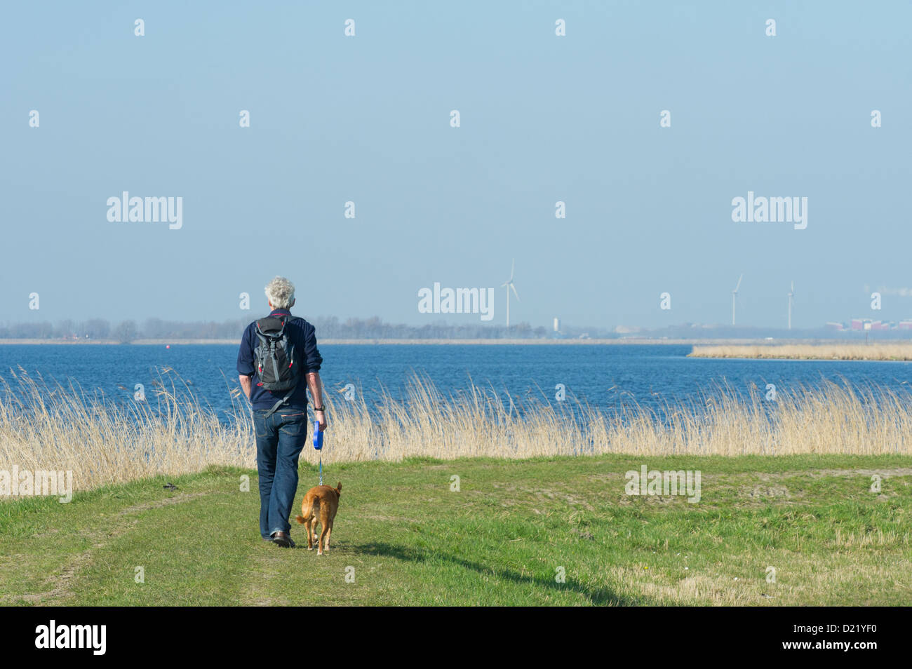 Elder man is hiking with dog in nature near big lake Stock Photo