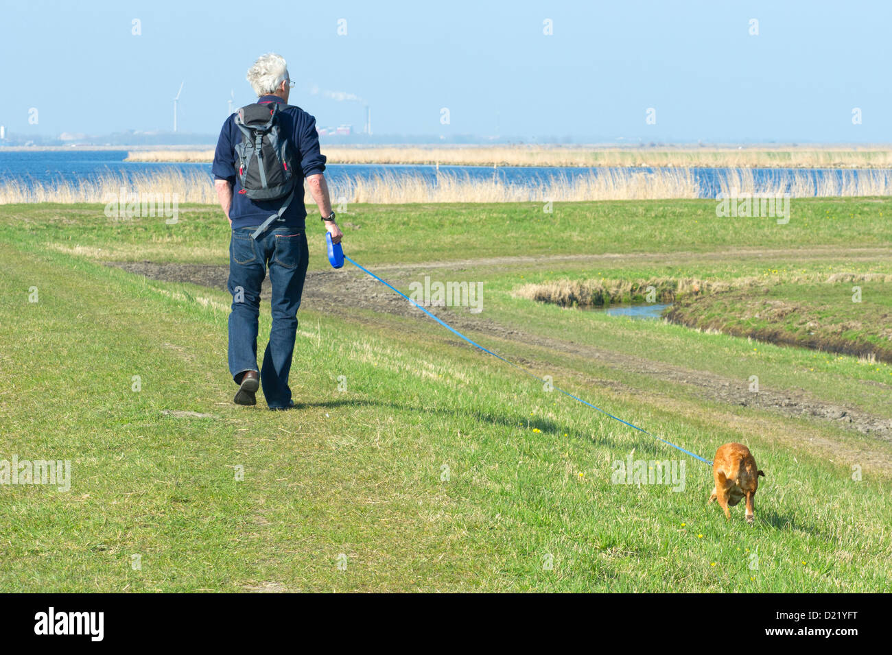 Elder man is hiking with dog in nature near big lake Stock Photo