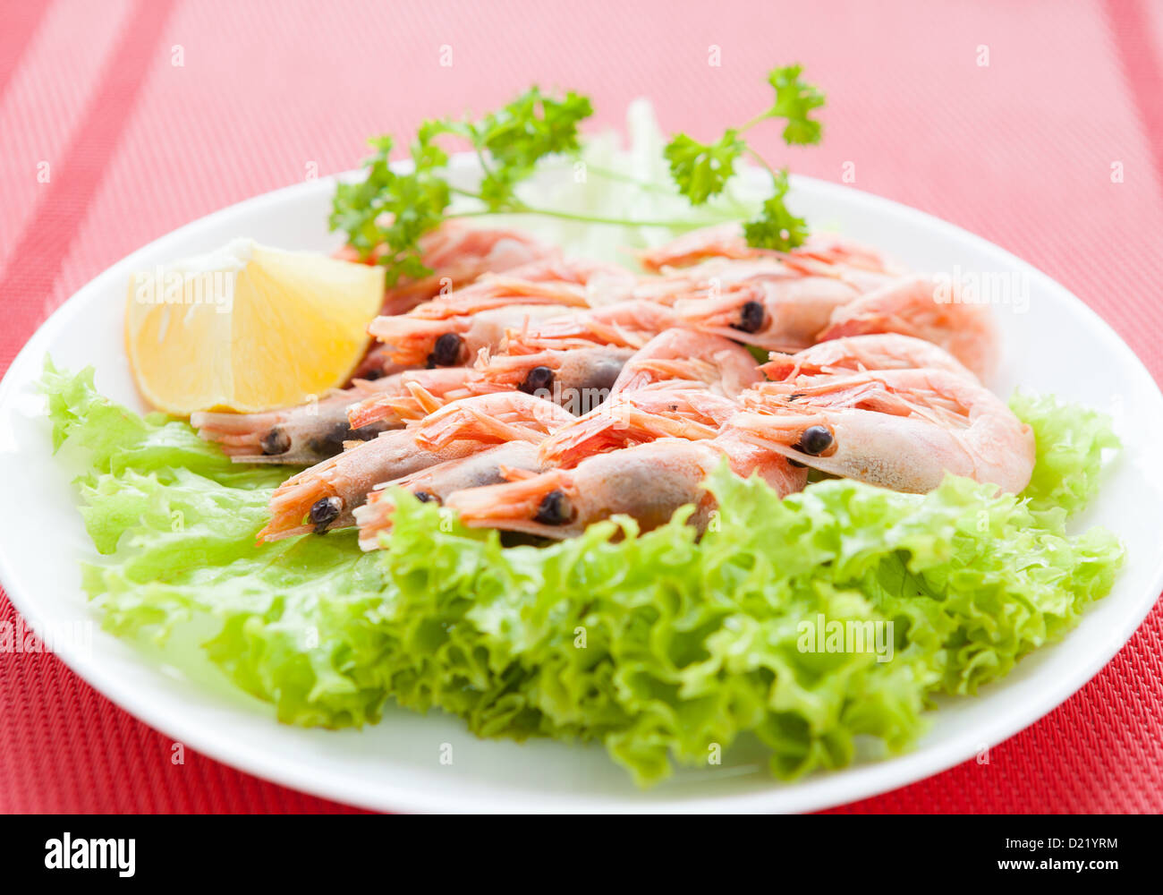 Boiled Shrimp Square Plate main image 0