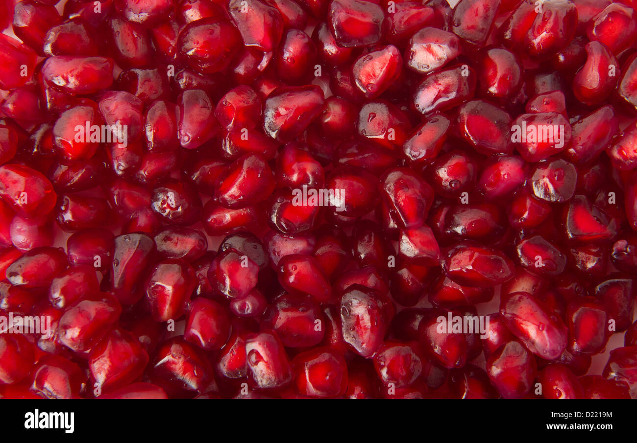 Arils hi-res stock photography and images - Alamy