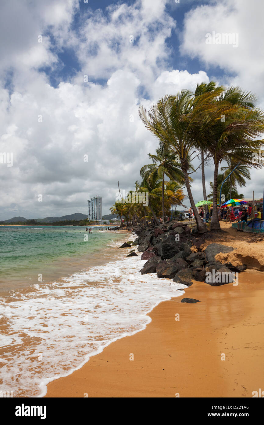 Palms trees along Luquillo Beach, Puerto Rico Stock Photo