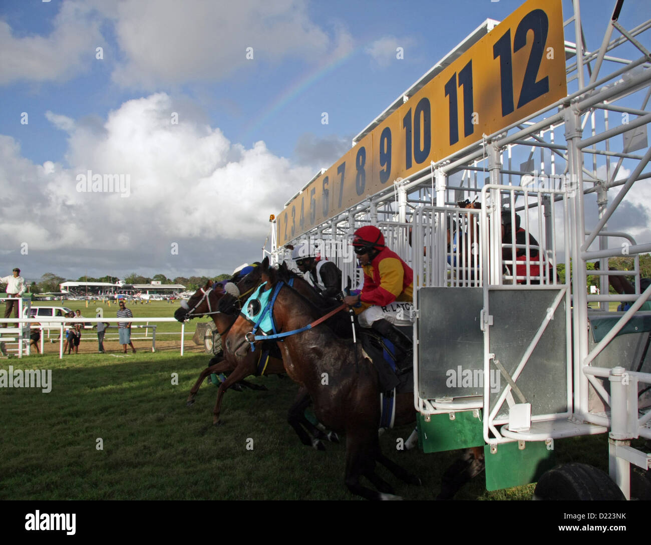 Race Horses Coming Out Of The Starting Gate At The Garrison Savannah Racecourse Near Bridgetown Barbados Stock Photo Alamy