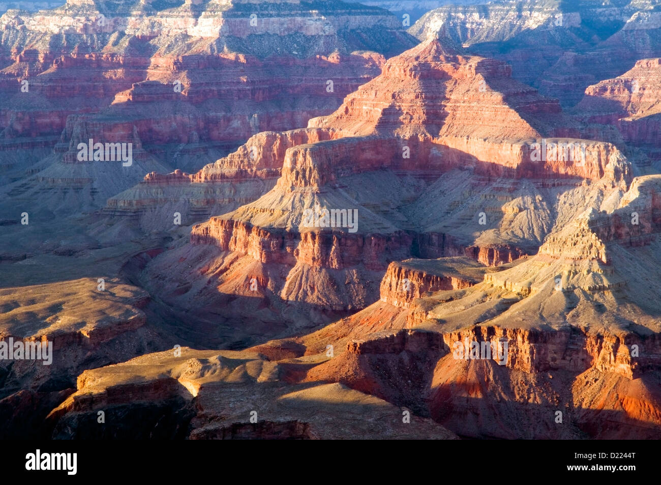 Grand Canyon National Park in late afternoon light as seen from the South Rim, Arizona. Stock Photo