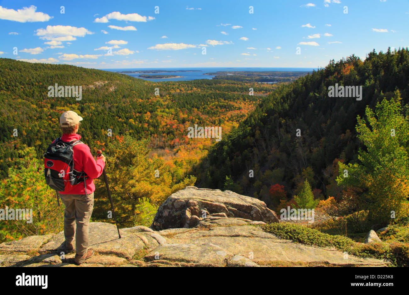 Beech Cliff Trail, Beech Mountain, Acadia National Park, Mount Desert island, Maine, USA Stock Photo