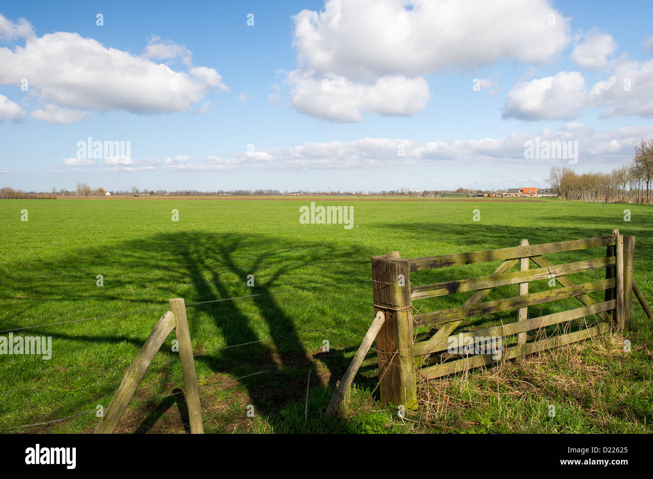 Rural landscape big tree hi-res stock photography and images - Alamy