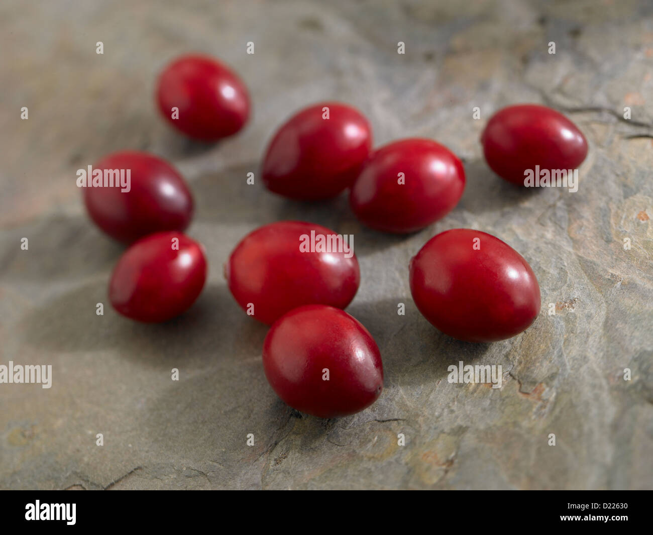 Cranberry fruit Stock Photo