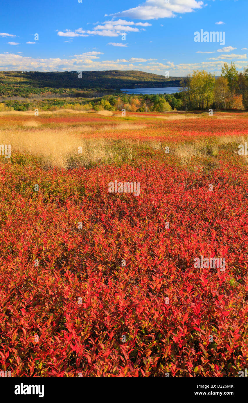 Appleton High Resolution Stock Photography and Images Alamy