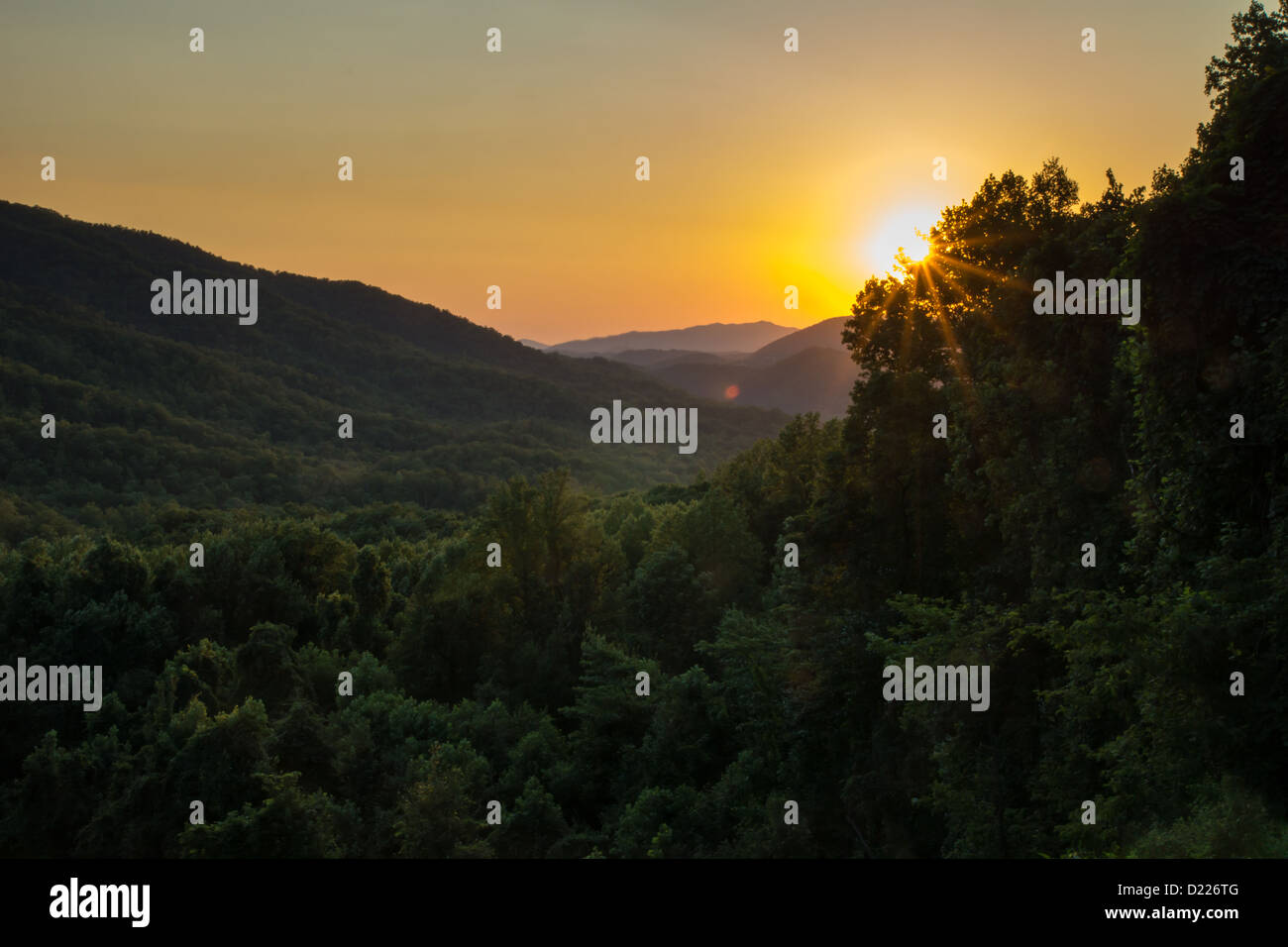 Suns rays break through trees hi-res stock photography and images - Alamy