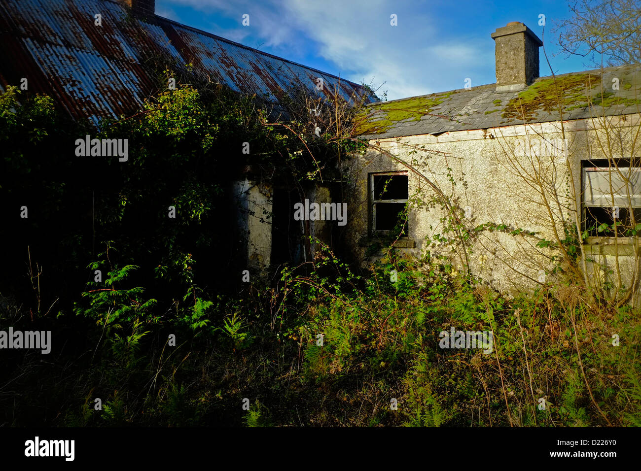 Old Farmhouse rural Ireland Stock Photo