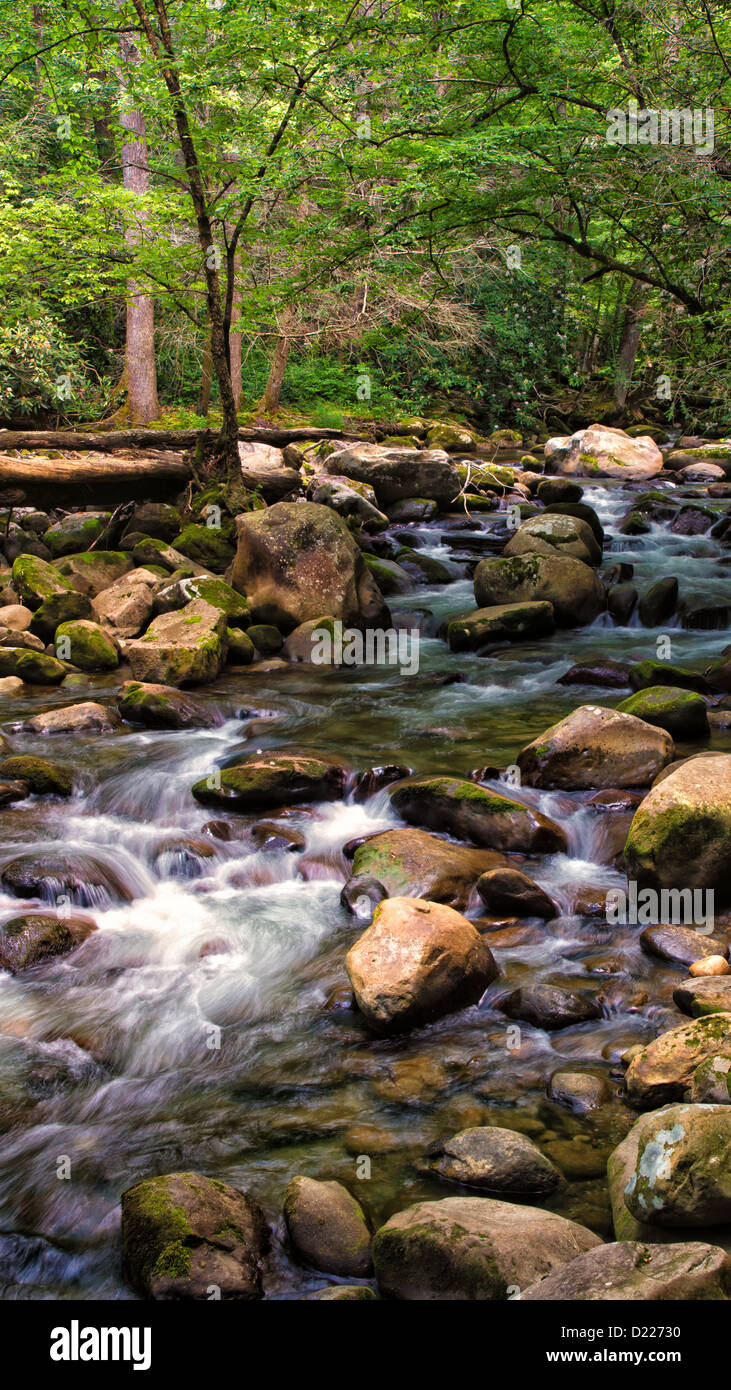 Water flows down a rocky stream bed in the Smoky Mountains. Stock Photo