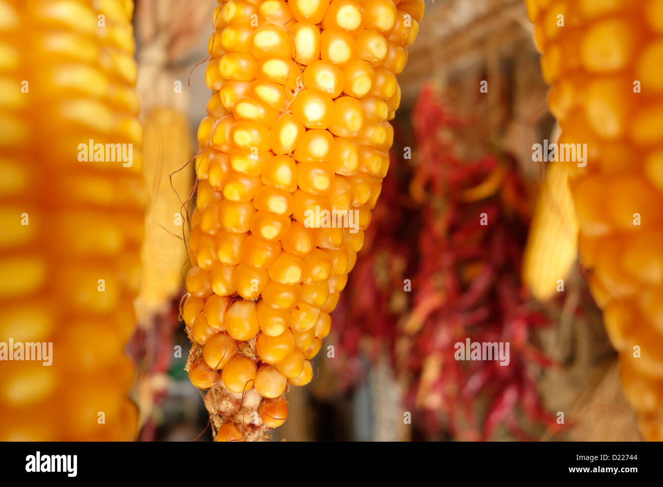 chinchon spain corn Stock Photo