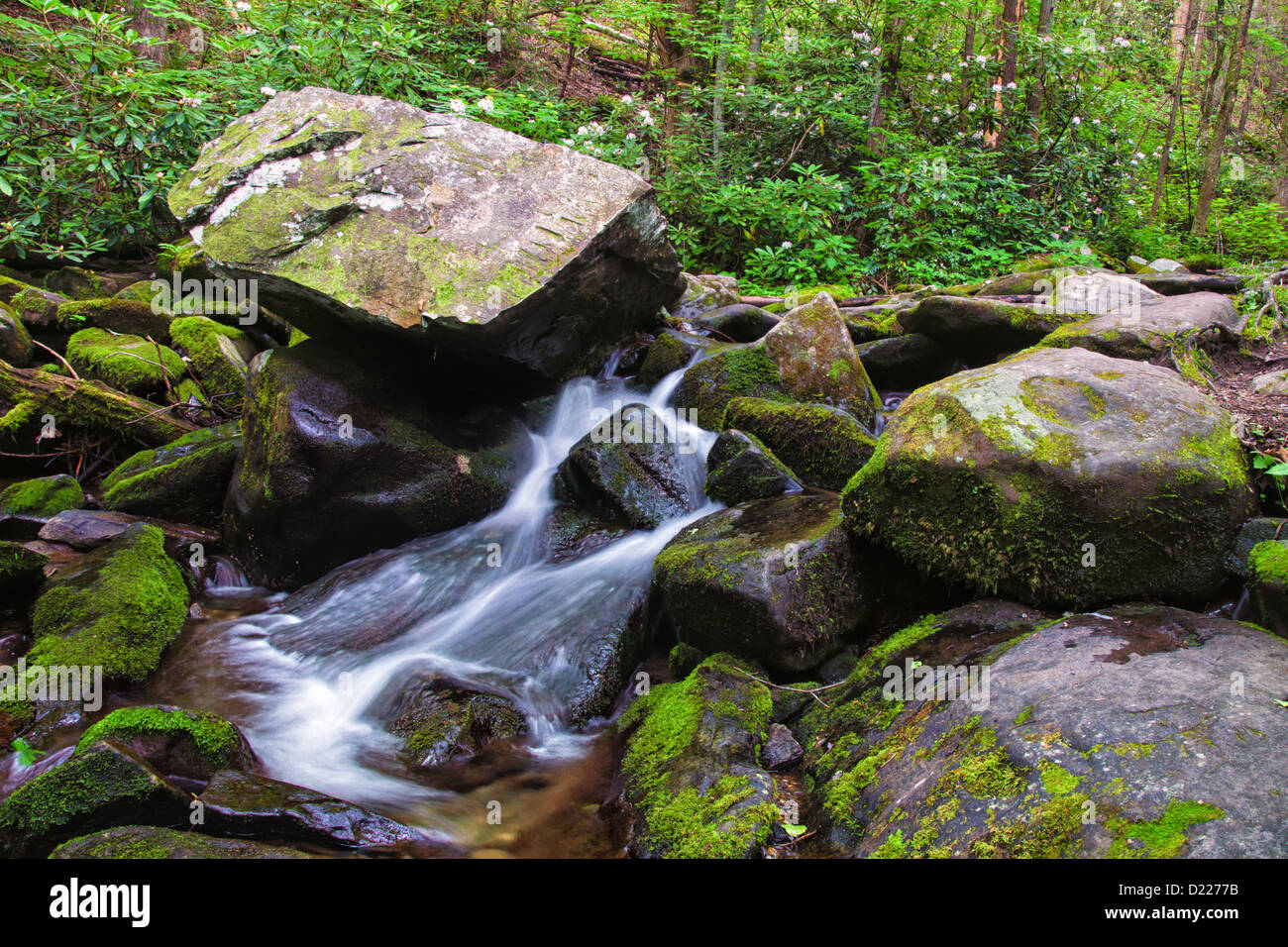Water cascades over rocks in a stream bed in the Smoky Mountains. Stock Photo