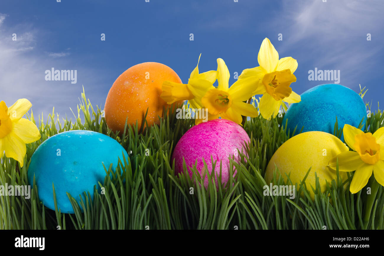 A group of colorful Easter eggs and daffodil flowers in the grass Stock ...