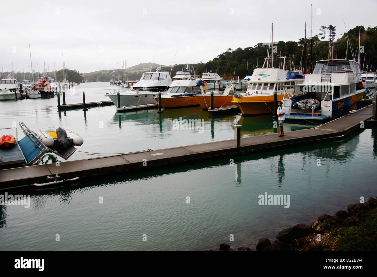 Dive tutukaka hi-res stock photography and images - Alamy