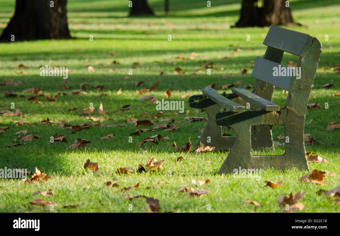 Empty Wooden Bench on Bright Green Grass Littered with Golden Leaves Stock Photo