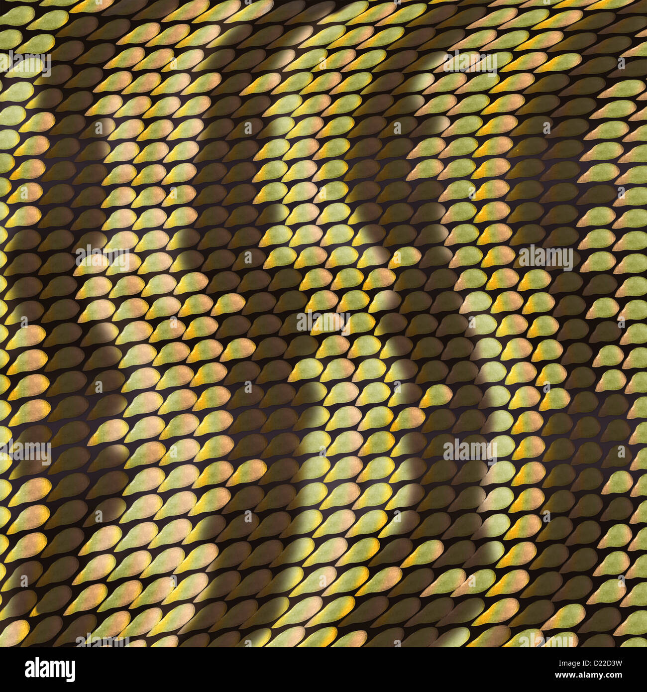 Fulvous background in the form of snake scales Stock Photo Alamy