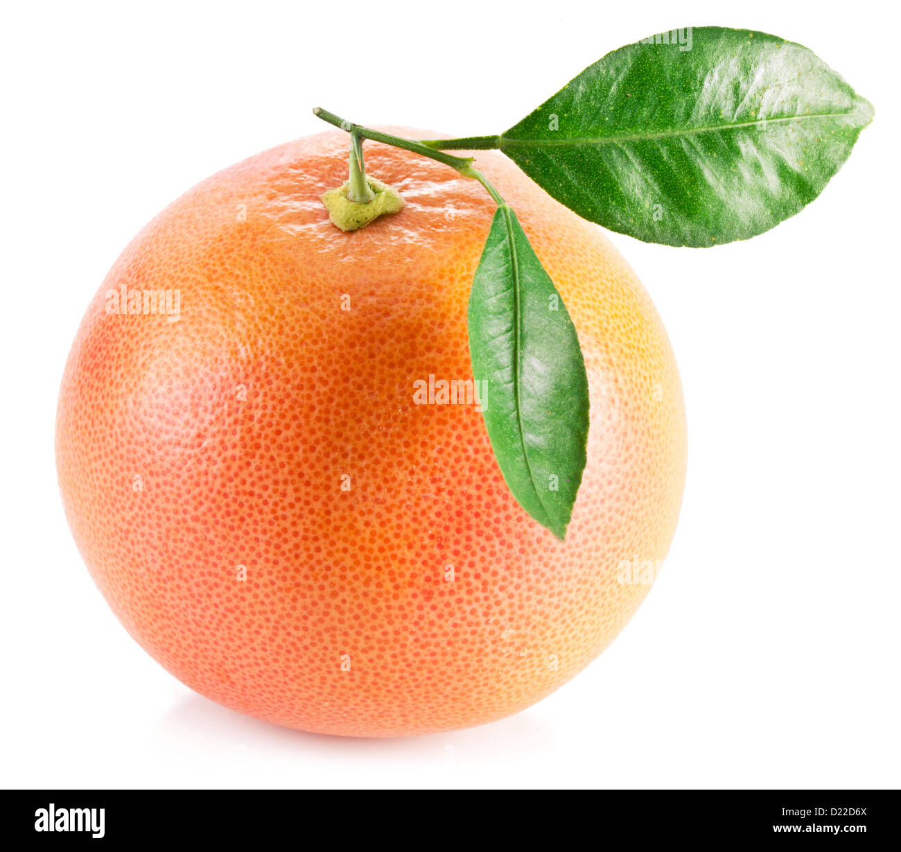 Grapefruit with leaves on a white background. Stock Photo