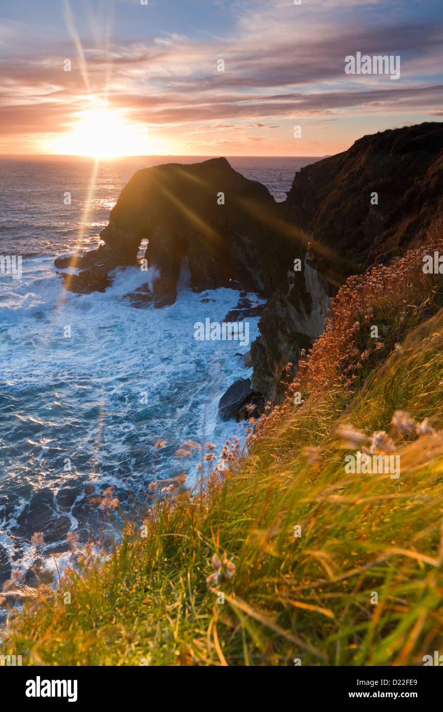Orkney Islands, Harrabrough Head Stock Photo