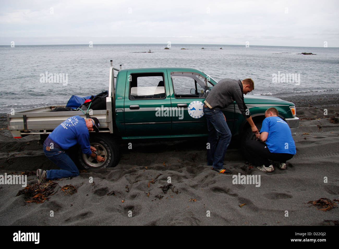 Stuck in the sand, the tires of this fourwheel drive pickup, on the
