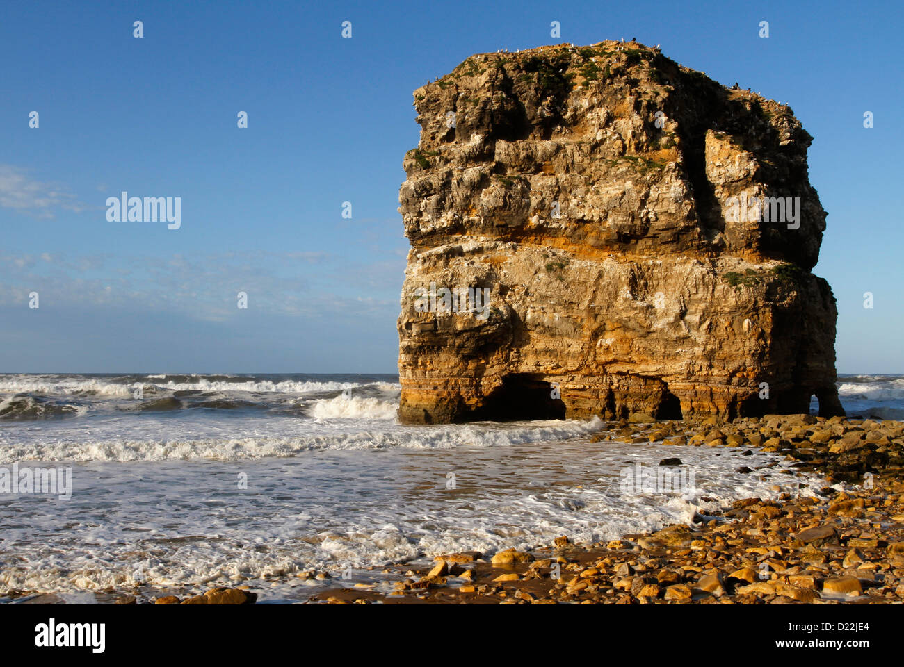 Marsden Rock, a rock formation in the North Sea at Marsden Bay, South Shields, Tyne and Wear, England, UK Stock Photo