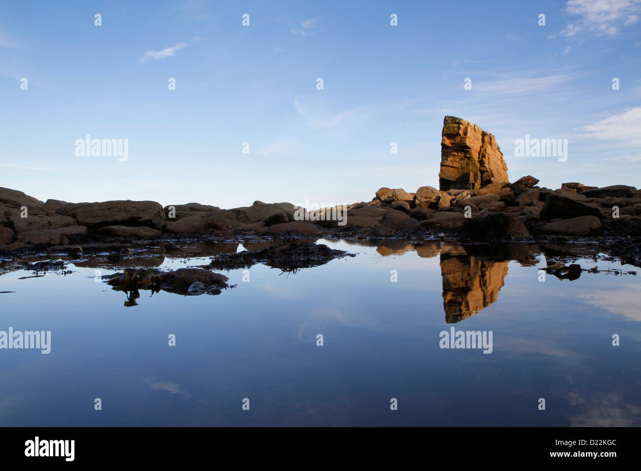 A sea stack rock formation known as Charlie's Garden, Collywell Bay, Seaton Sluice, Northumberland, England, UK Stock Photo