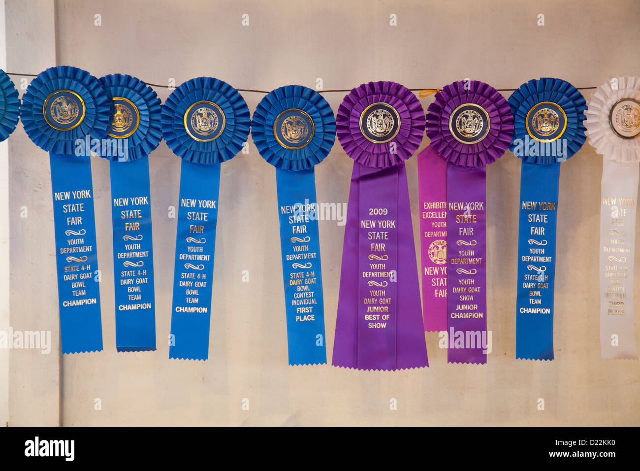 fair award ribbons for the New York State Stock Photo