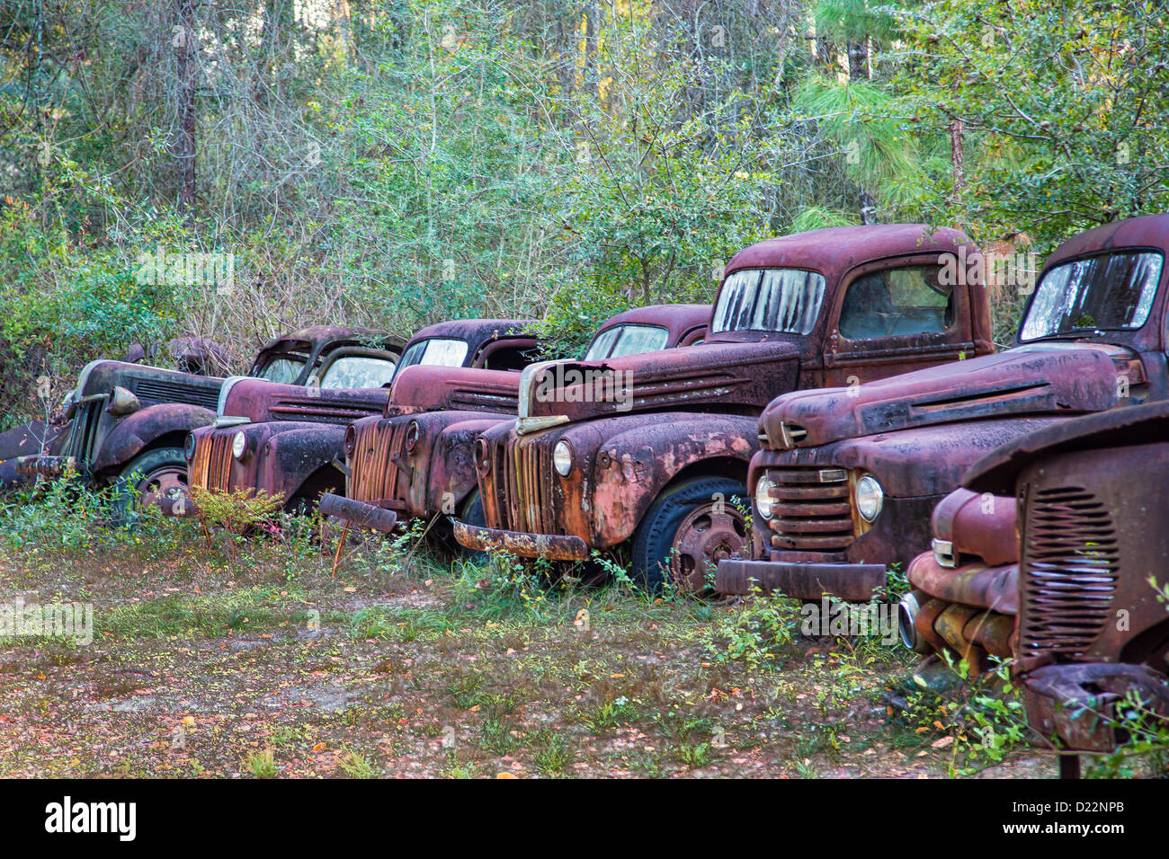 Old rusty broken down junk trucks Stock Photo