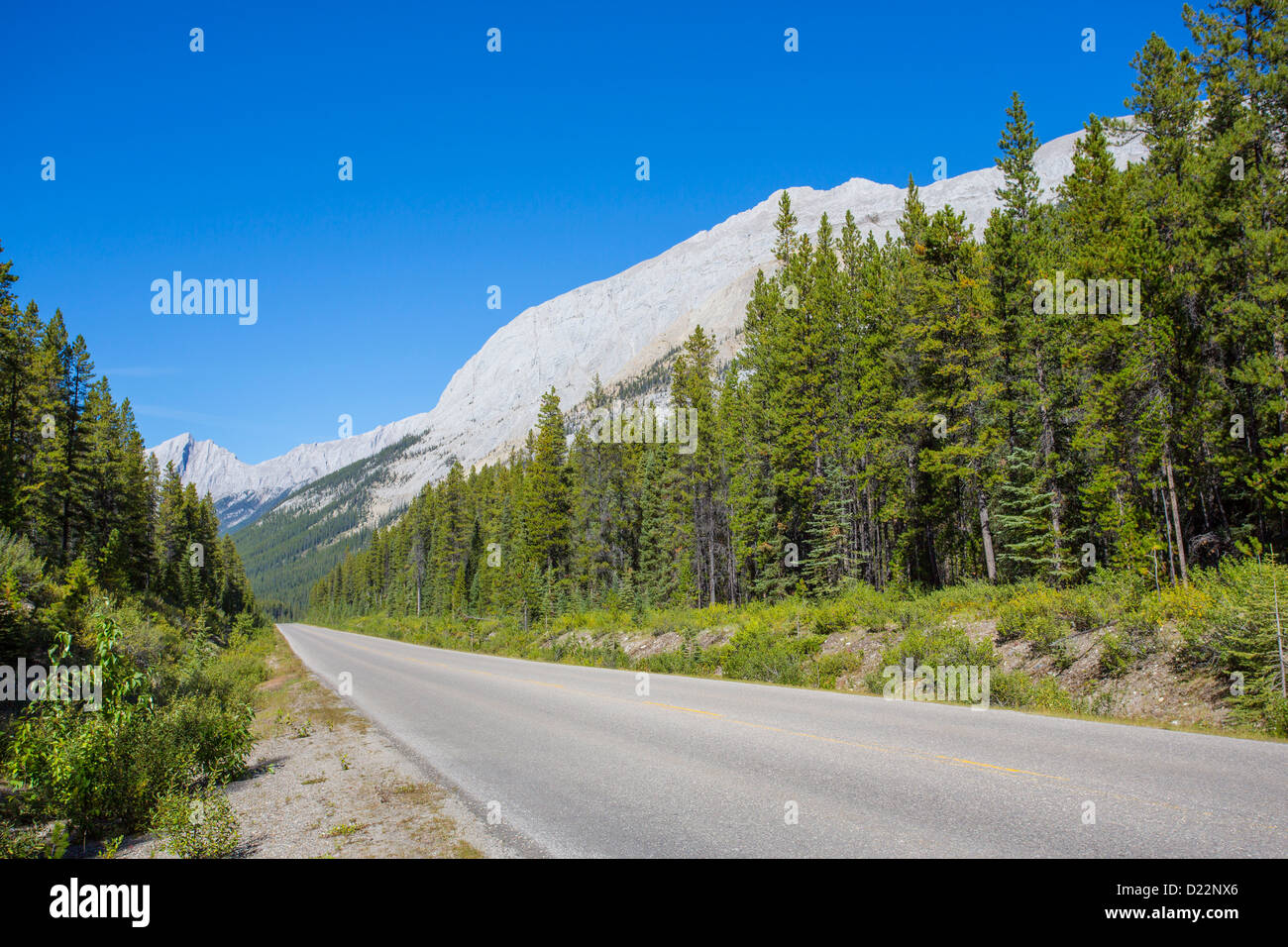 Maligne Valley Road in Jasper National Park in Alberta Canada Stock Photo