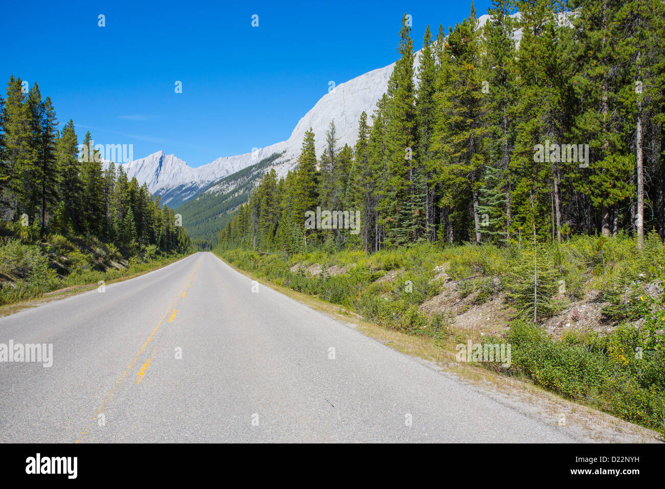 Maligne Valley Road in Jasper National Park in Alberta Canada Stock Photo