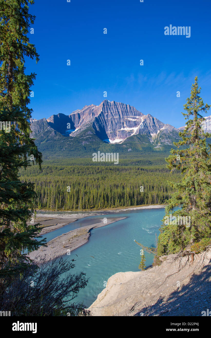 Athabasca River along the Icefields Parkway In Jasper National Park in Alberta Canada Stock Photo