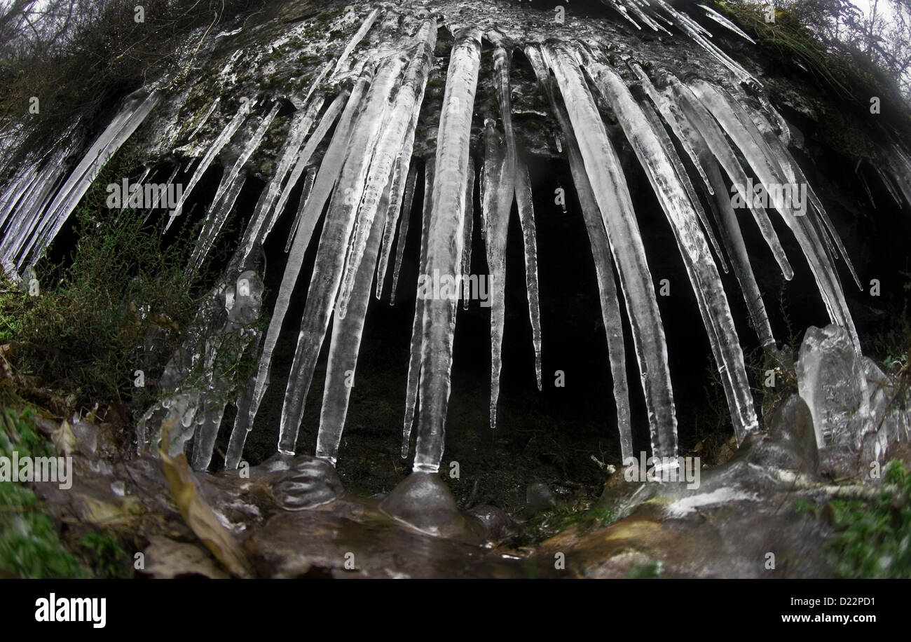 Icicles ice Teign Valley River Teign, Dartmoor Stock Photo