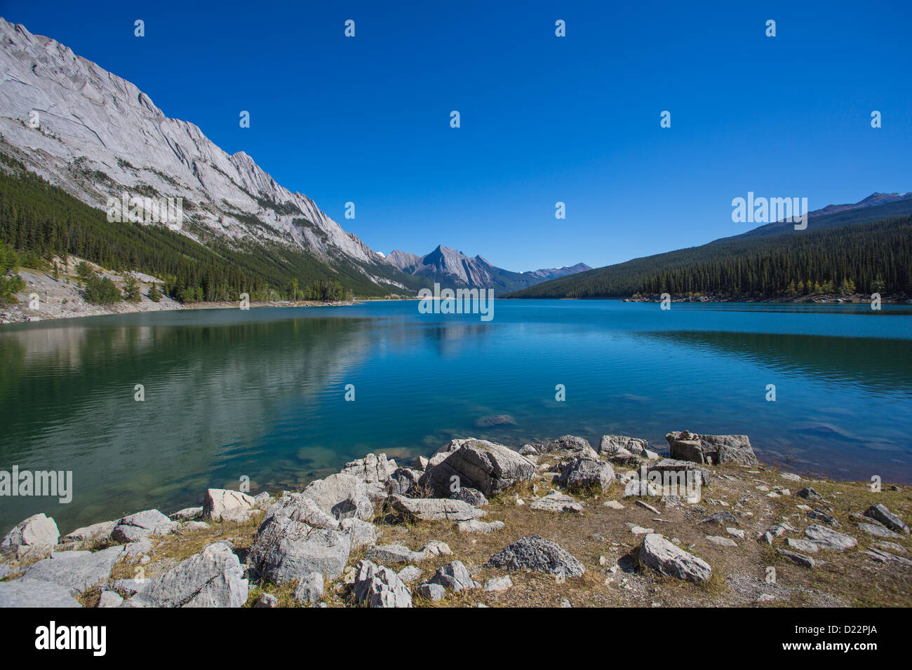 medicine-lake-in-jasper-national-park-in-alberta-canada-stock-photo-alamy