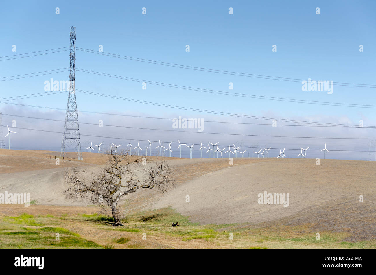 Golden Hill wind farm in Livermore , California in the United States of