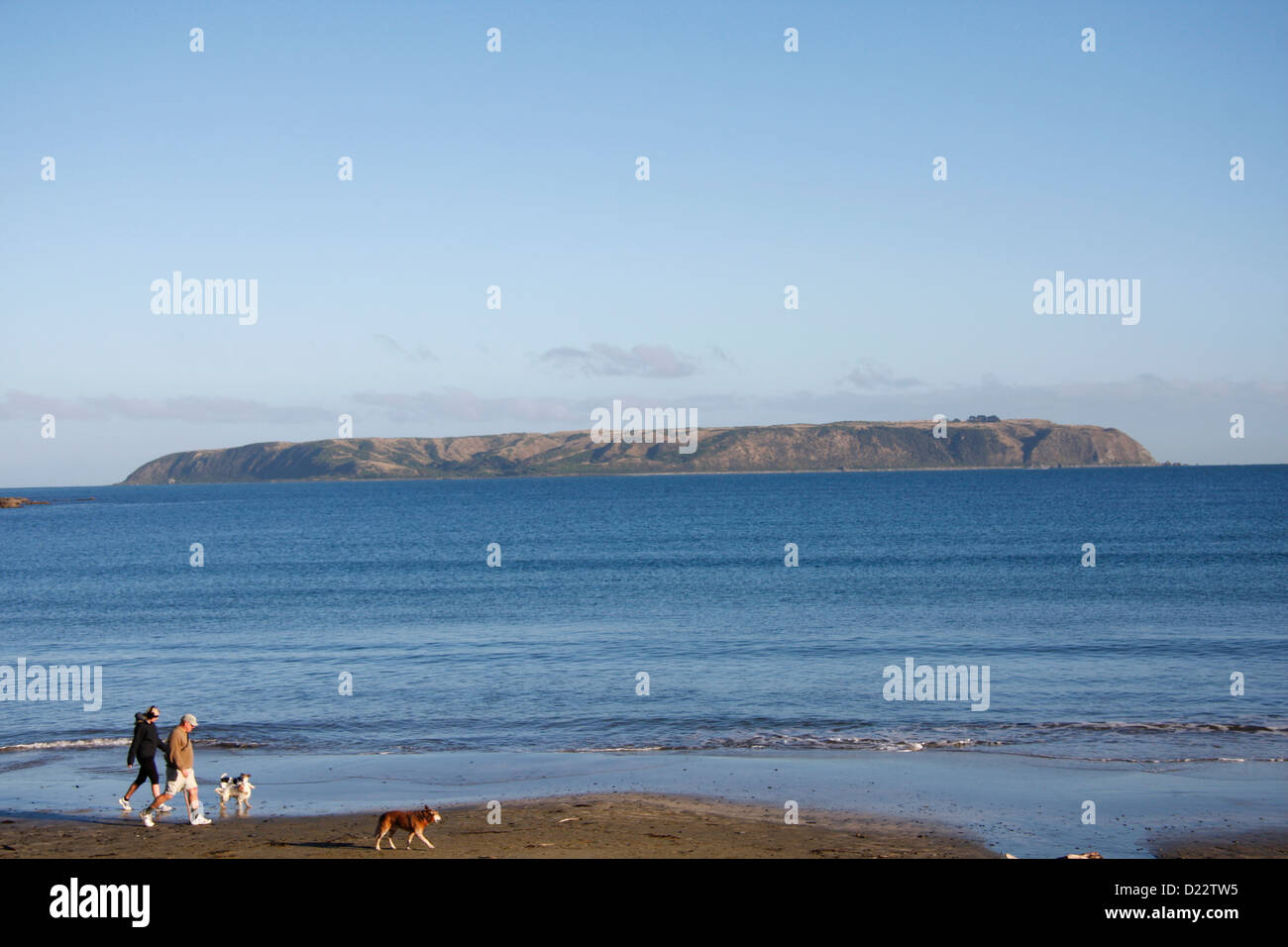 Local residents of Titahi Bay walk their dogs on the beach, with Mana