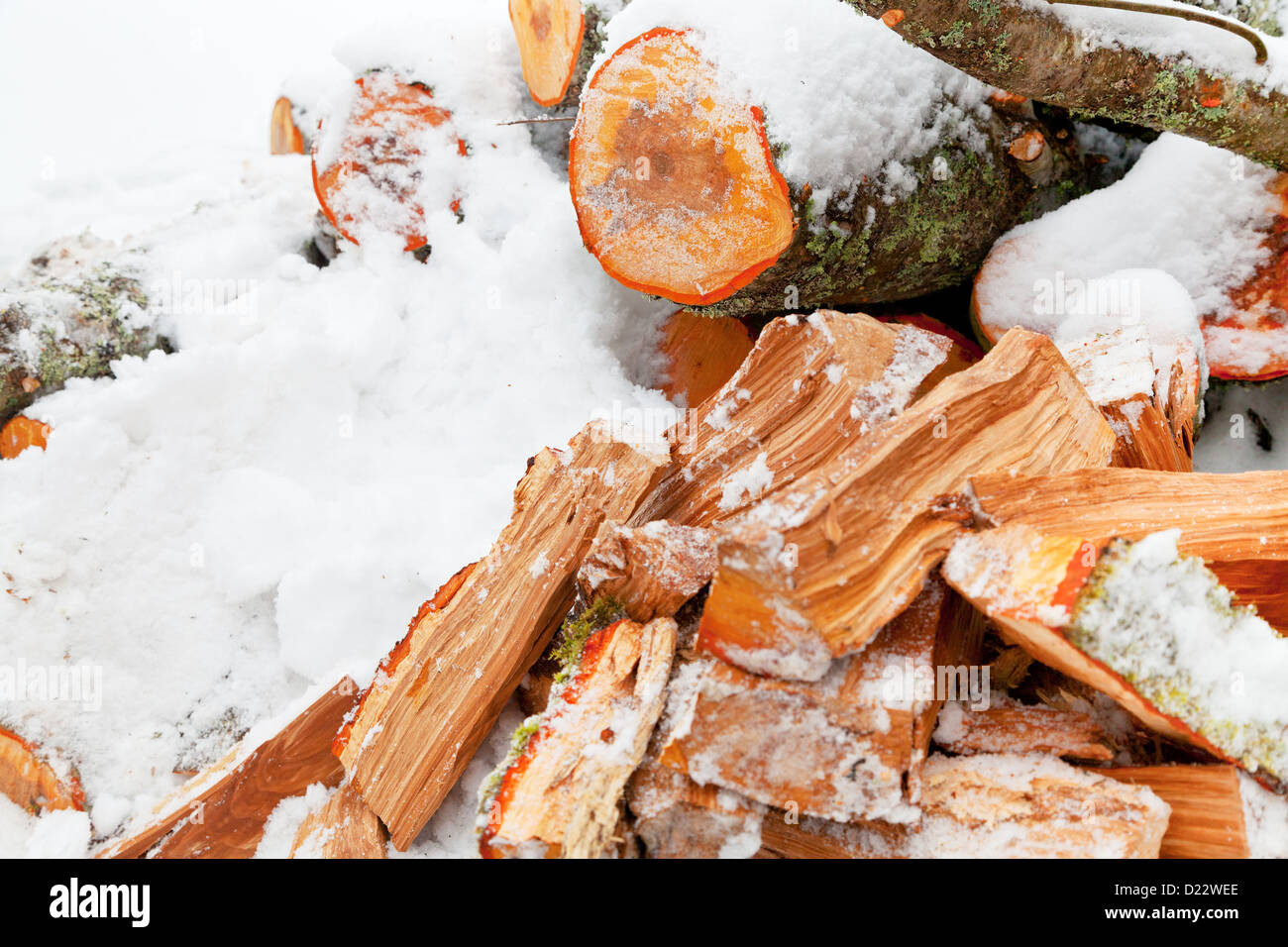 Alder Wood With Snow High Resolution Stock Photography and Images Alamy