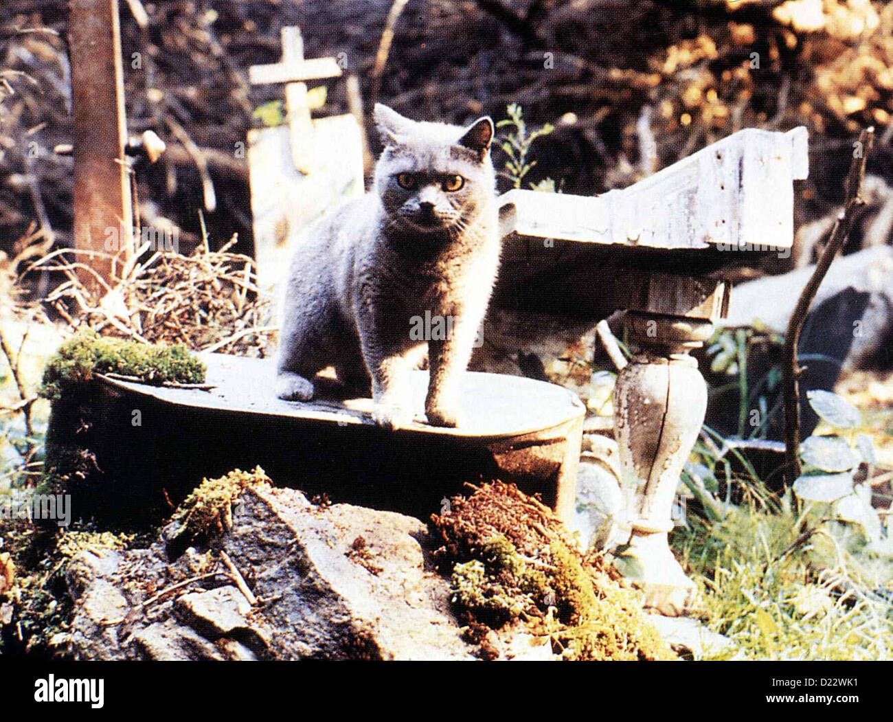 Friedhof Der Kuscheltiere   Pet Sematary   Szene *** Local Caption *** 1989  PAR , clips 04 / 96 Stock Photo