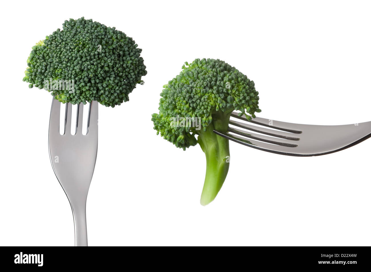 two broccoli florets on forks isolated against white background Stock Photo