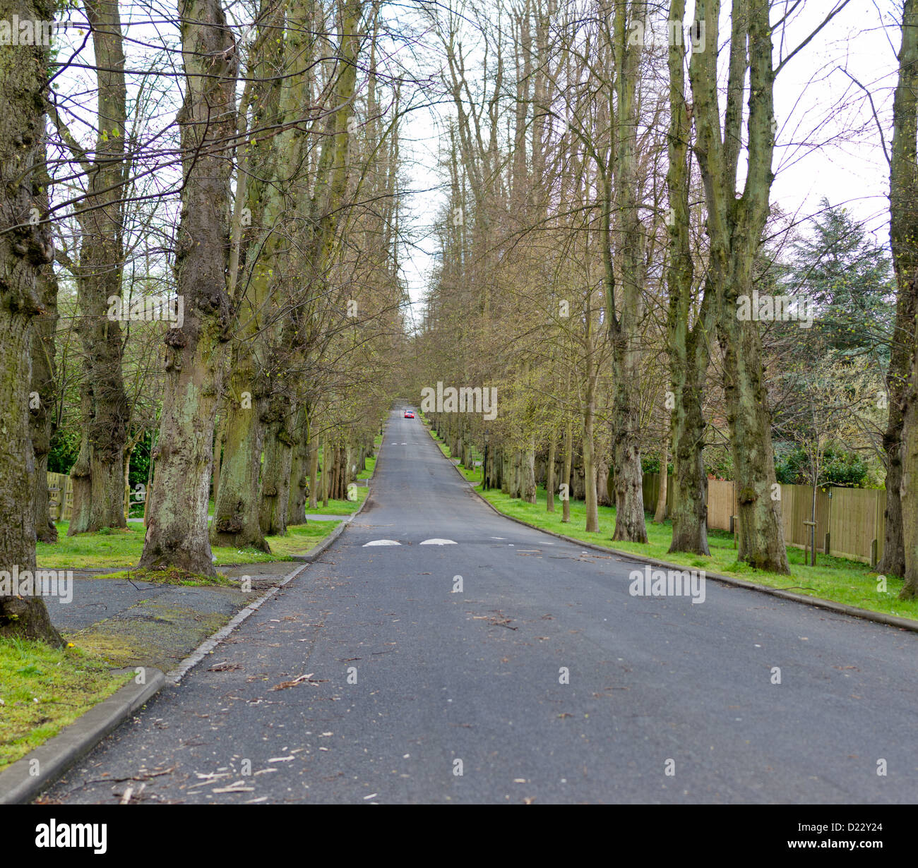 Undulating road hi-res stock photography and images - Alamy