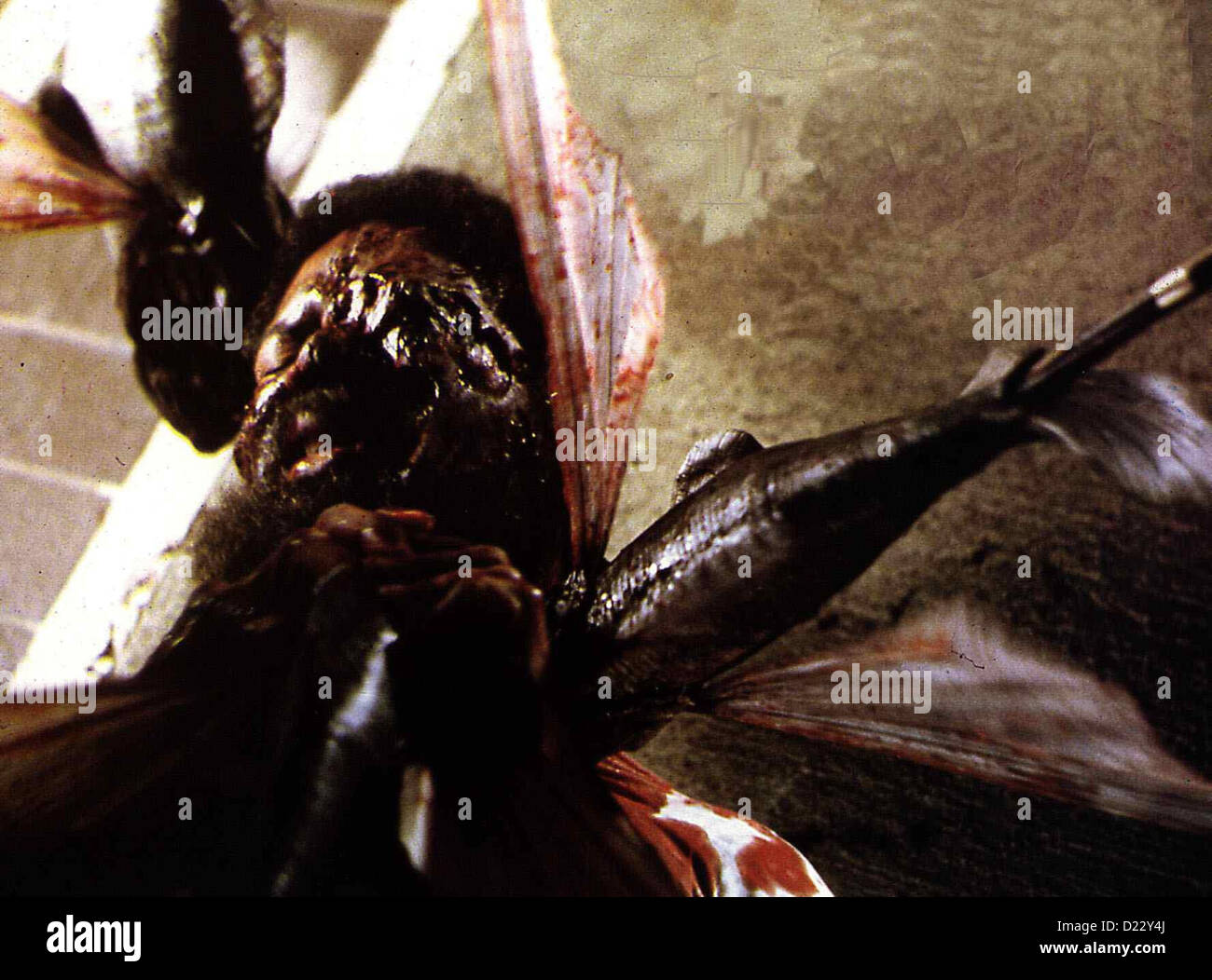 Piranha 2 : Les Tueurs Volants Piranha Ii - Fliegende Killer Piranha 2 - Flying Killers Szene Ein
